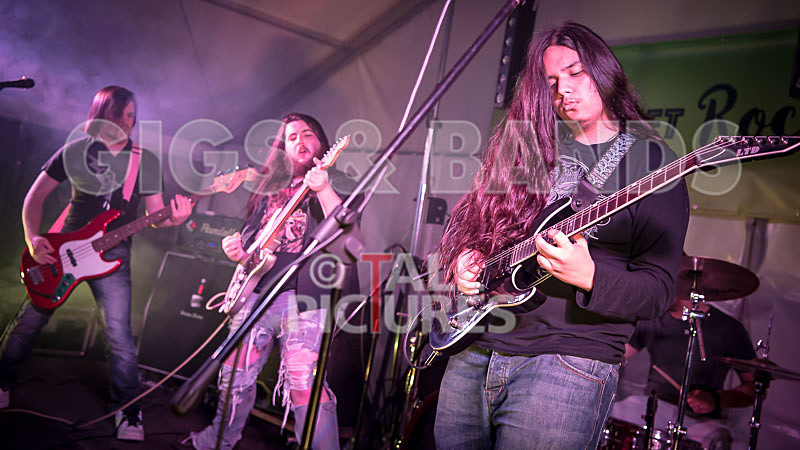 Stone Em All-379 - STONE EM ALL