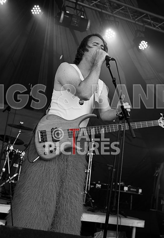 Toupe-8 - TOUPE at IVY CASTLE FAIR