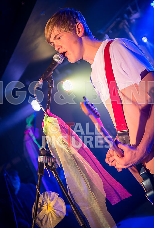 Cosmic Fish-12 - COSMIC FISH