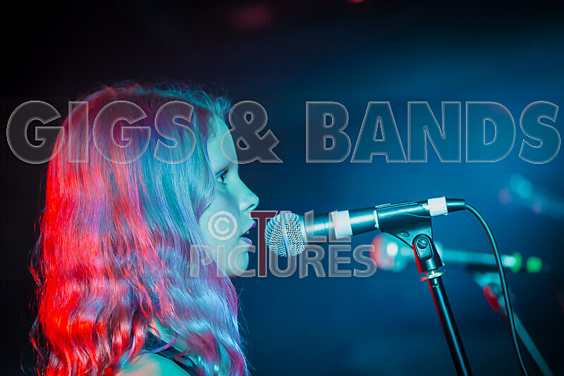 Crocspiracy-39 - CROCSPIRICY