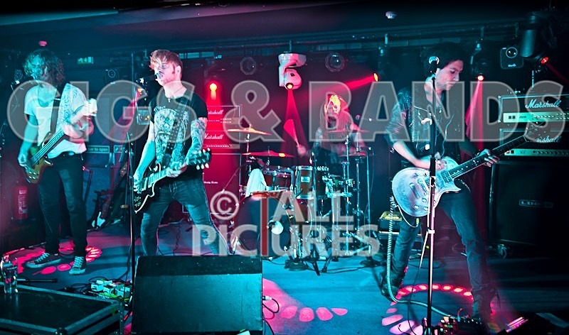 The Crave-26 - THE CRAVE
