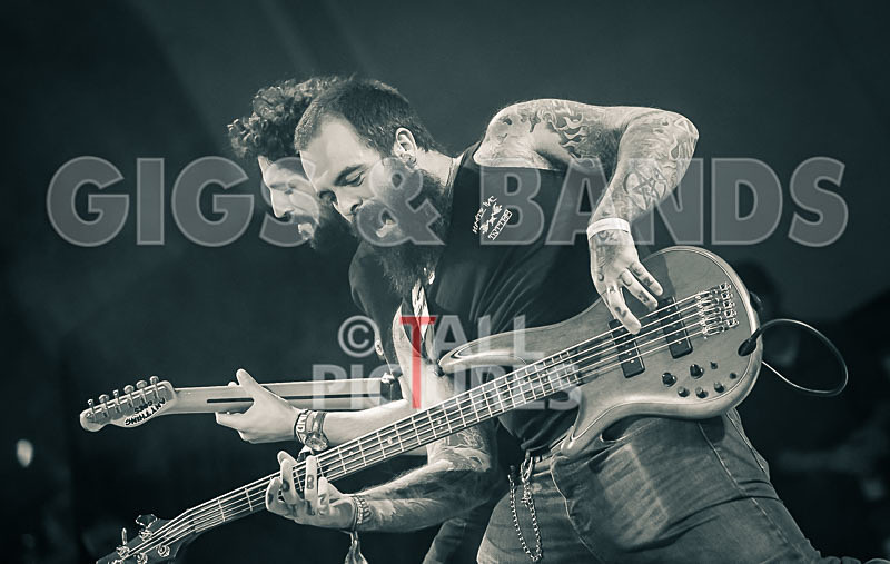 Static Alice-815 - STATIC ALICE