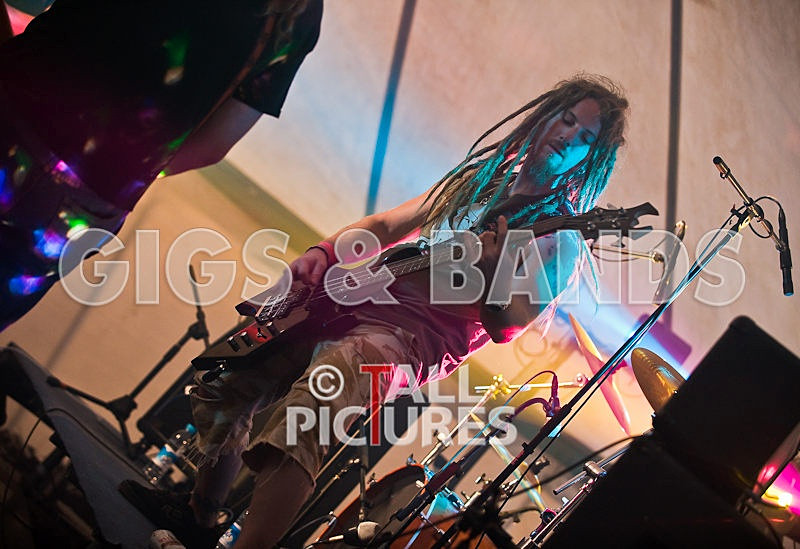 Greenman_Music-304 - GREENMAN CHAOS FESTIVAL 2008 BANDS