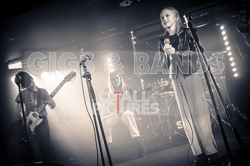 Hyperbolic Magnetism-37 - HYPERBOLIC MAGNETISM