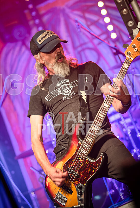 The Electric Shakes-183 - THE ELECTRIC SHAKES