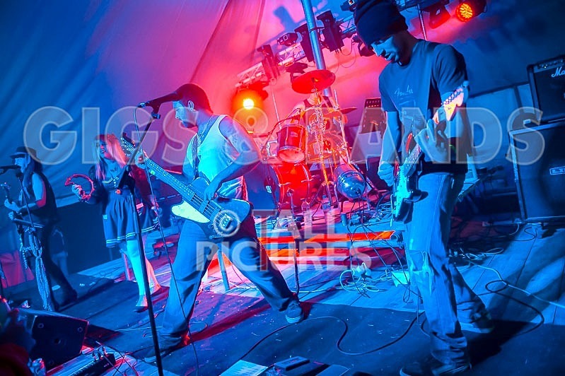 Static Alice-48 - STATIC ALICE