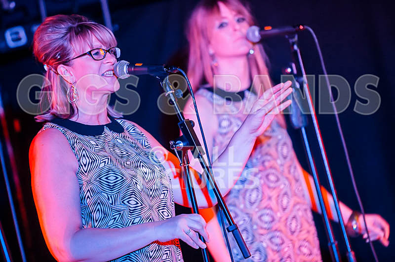 The Blondettes-16 - THE BLONDETTES