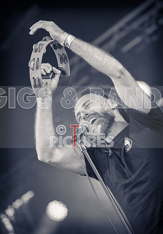 Benny the Moth-115 - BENNY THE MOTH