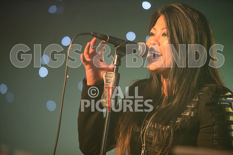 BLAKALASKA-184 - BLAKALASKA