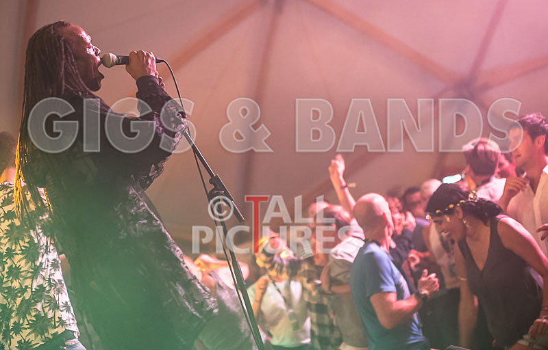 The Beat-51 - THE BEAT