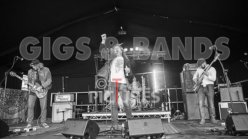 Rat Salad-19 - RAT SALAD