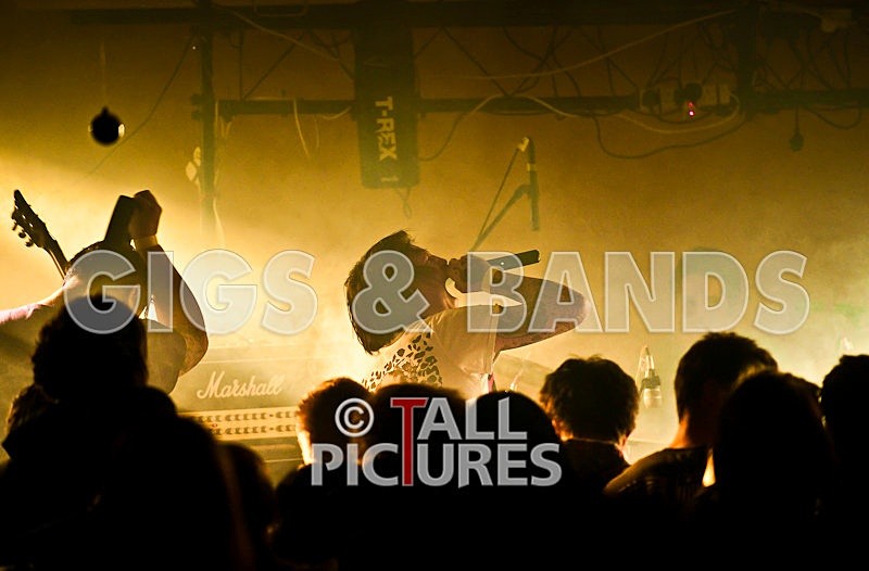 Five Across the Eyes-19 - FIVE ACROSS THE EYES at RoA-5