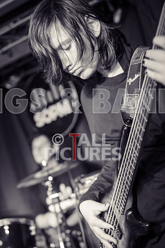 Two Inch Chairs-21 - 2 INCH CHAIRS