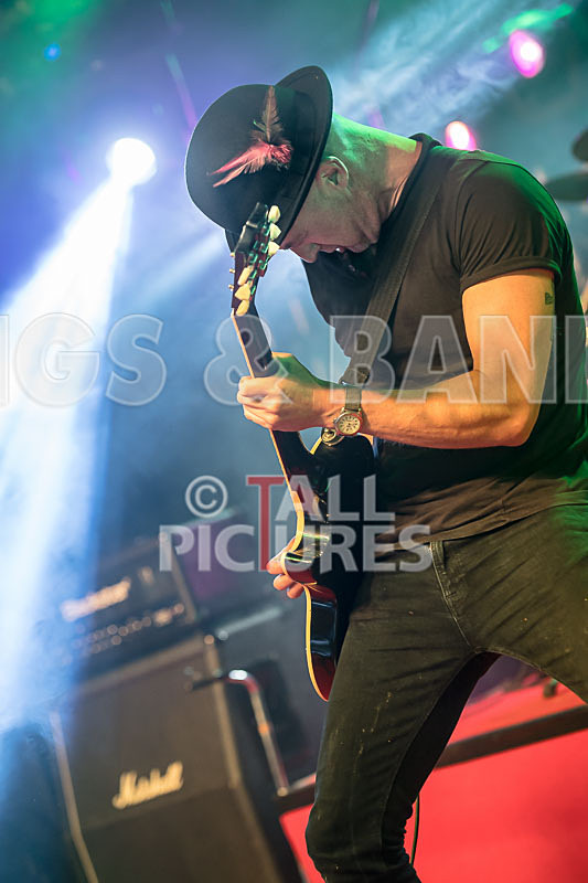 Peppered Ant Legs-231 - PEPPERED ANT LEGS