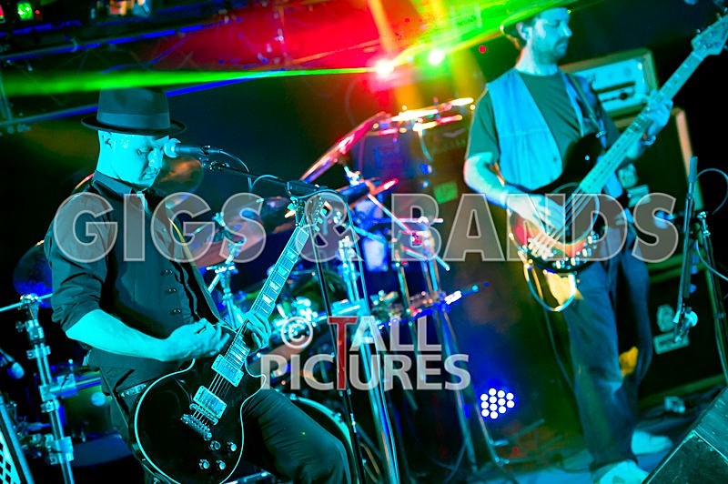 Peppered Ant Legs-102 - PEPPERED ANT LEGS