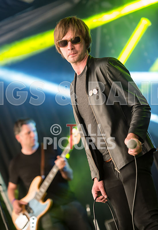 The Cryptics-31 - THE CRYPTICS