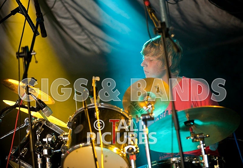 Wild Card-17 - HOGWASH 2009 - BANDS