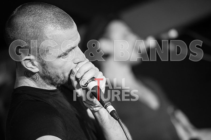 Heymoonshaker-24 - HEYMOONSHAKER