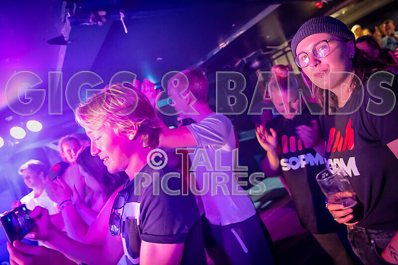 Black Dog-16 - BLACK DOG