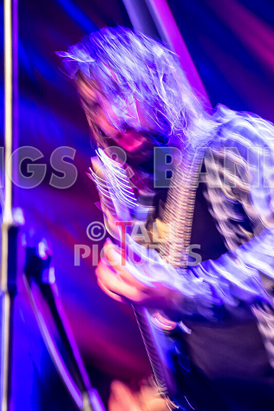 To the Woods-458 - TO THE WOODS