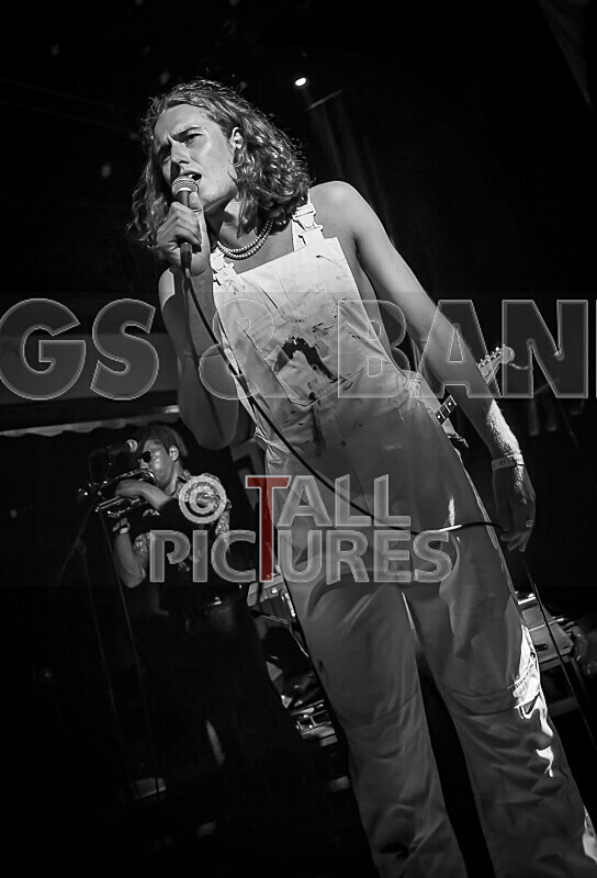 The Pips-8 - THE PIPS