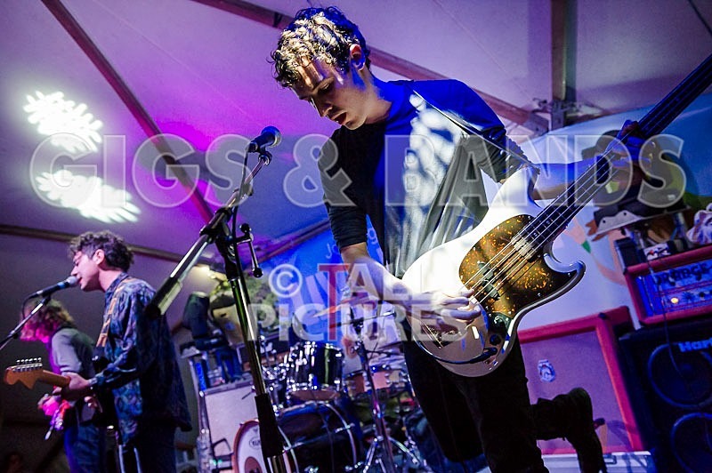 Last Dinosaurs-23 - LAST DINOSAURS