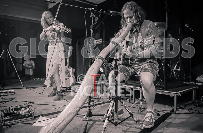 Buffalo Huddleston-560 - BUFFALO HUDDLESTON