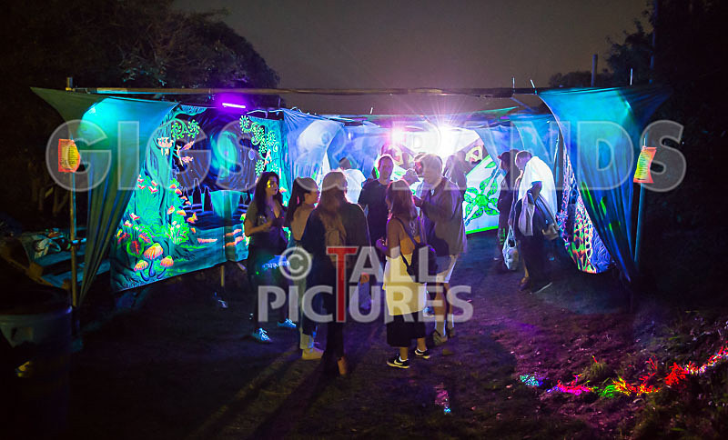 Vale Earth Fair 2017_SCENE-132 - VALE EARTH FAIR 2017_THE SCENE