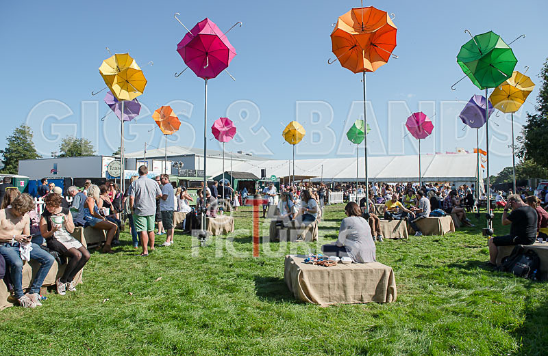 Jersey Live-2015_Scene-60 - JERSEY LIVE 2015 - THE ATMOSPHERE