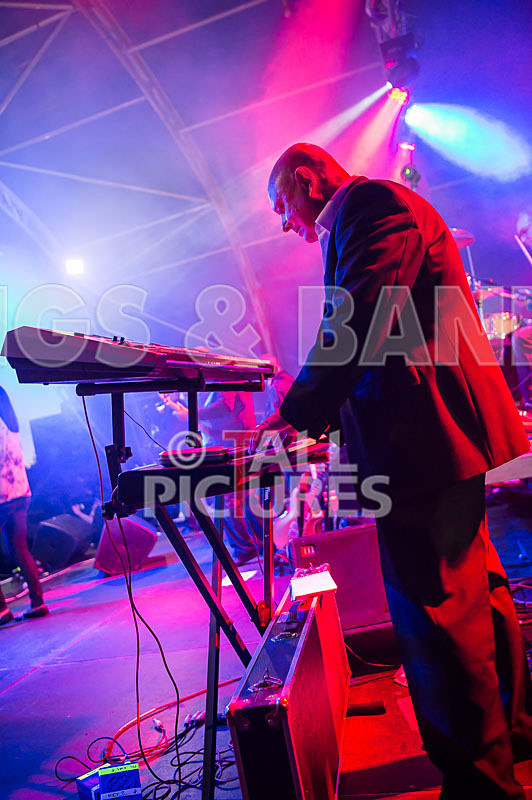 King Rat and the Soul Cats-266 - KING RAT AND THE SOUL CATS