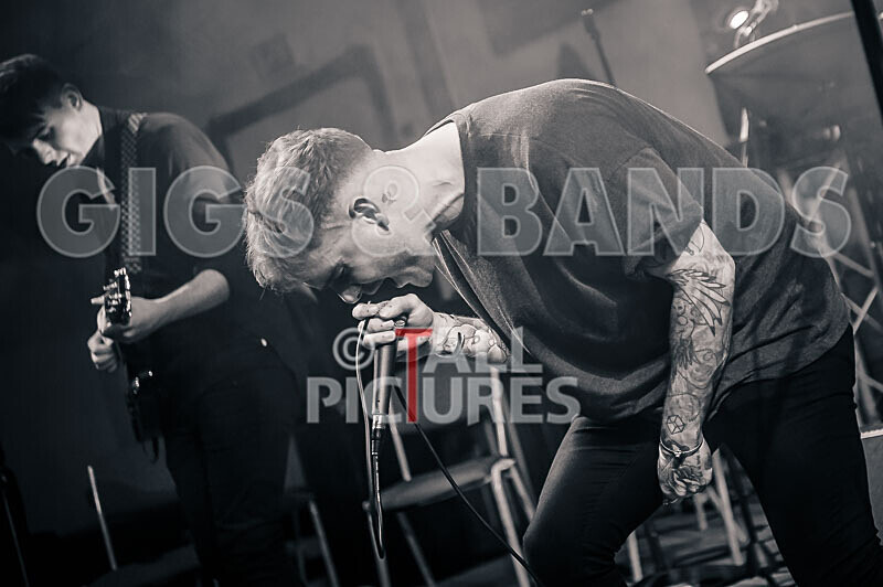 Eli Crossan-9 - THE GUESTS