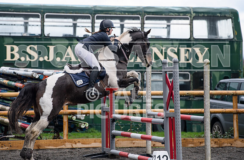 Senior Showjumping_10-11-2019-3 - BS GUERNSEY RALLY 2019-SENIORS