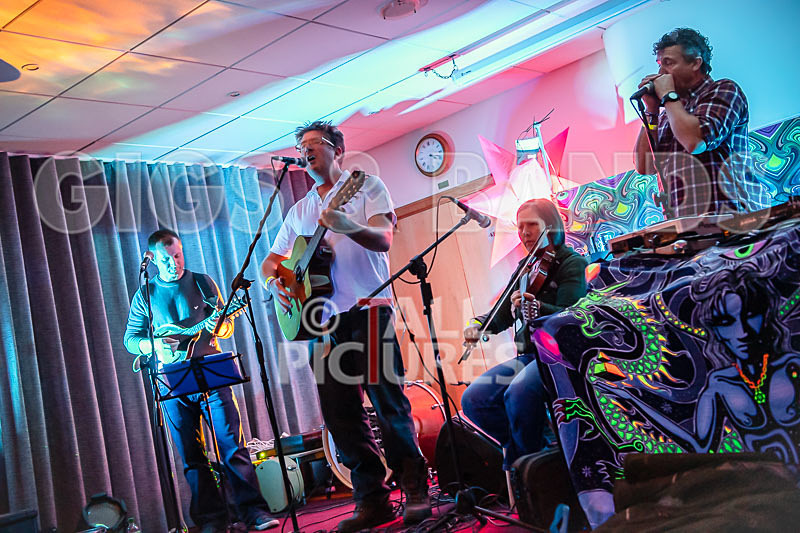 Seigneur Hedge Veg-24 - THE PEACE TENT STAGE