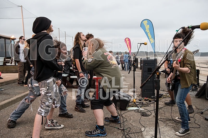 Stone Em All-144 - STONE EM ALL