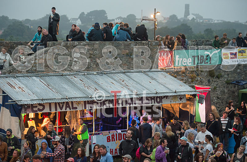 Vale Earth Fair 2015_Atmosphere-44 - VALE EARTH FAIR 2015_THE ATMOSPHERE