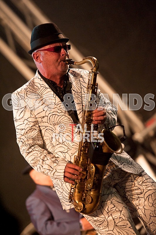 Madness-21 - MADNESS