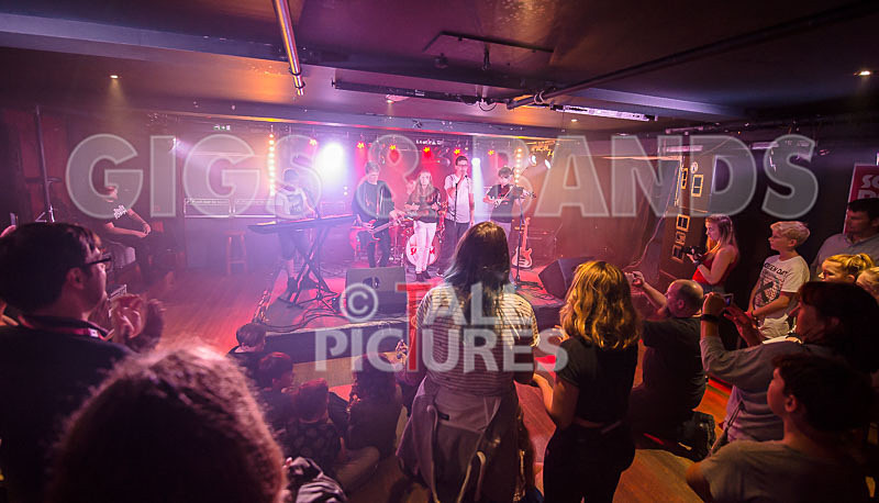 Lady and the Tramps-25 - LADY AND THE TRAMPS