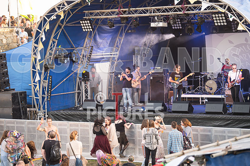 Vale Earth Fair 2017_SCENE-117 - VALE EARTH FAIR 2017_THE SCENE