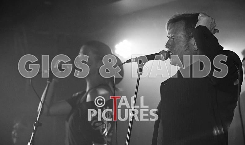 King Rat and the Soul Cats-105 - KING RAT & THE SOUL CATS