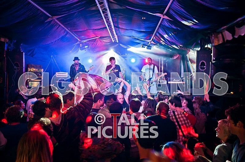 Spunge-25 - [spunge]