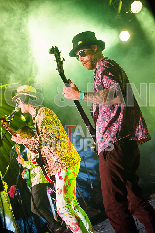 Surfin Birds-38 - SURFIN' BIRDS