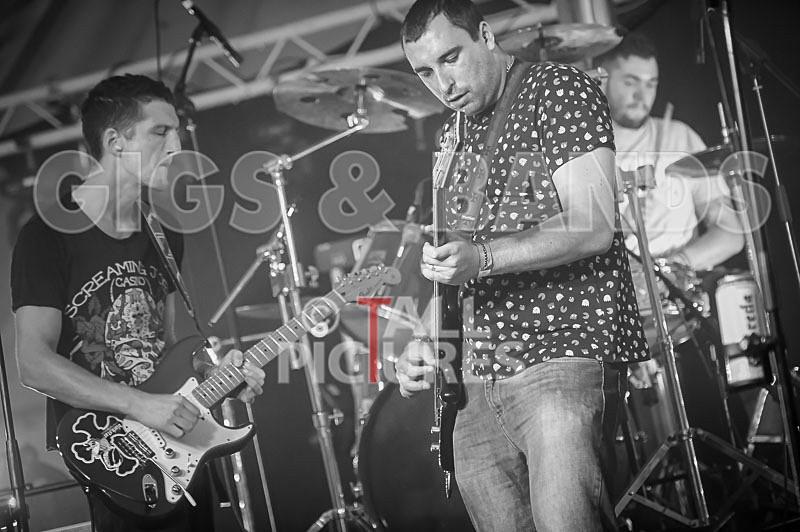 Subversion-46 - SUBVERSION