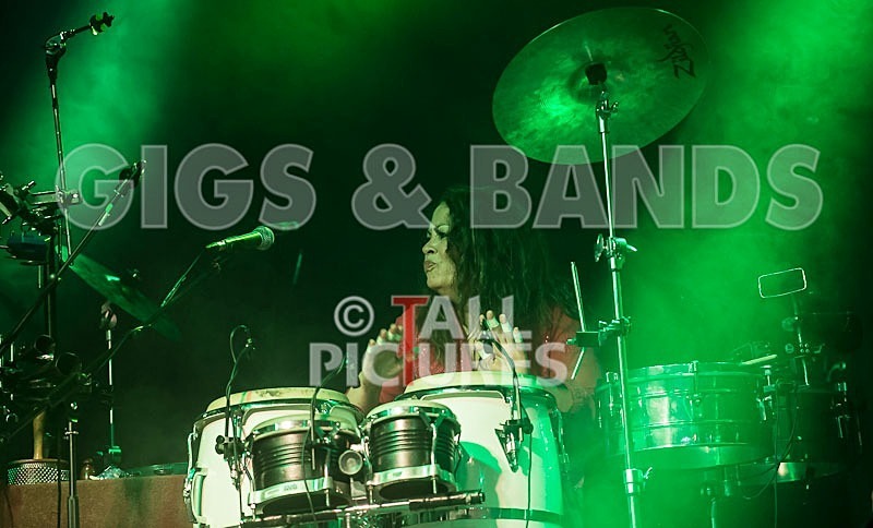 Macy Gray-14 - MACY GRAY