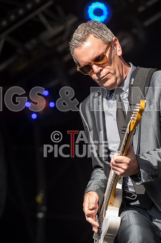 The Selecter-40 - THE SELECTER