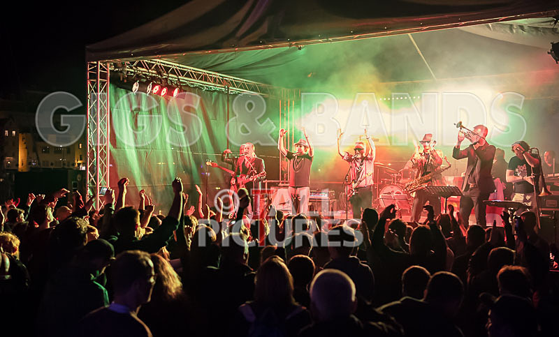 Sons of the Desert-246 - SONS OF THE DESERT