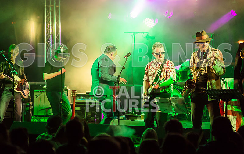 Sons of the Desert-261 - SONS OF THE DESERT