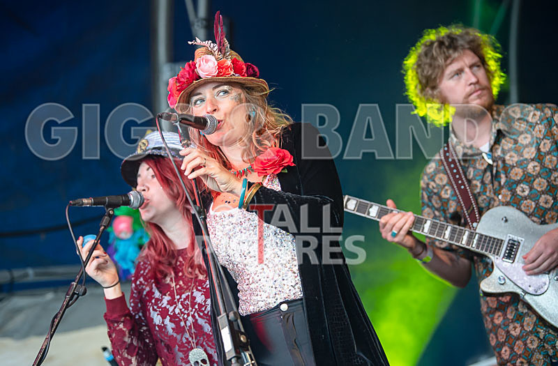 The Crack-65 - THE CRACK