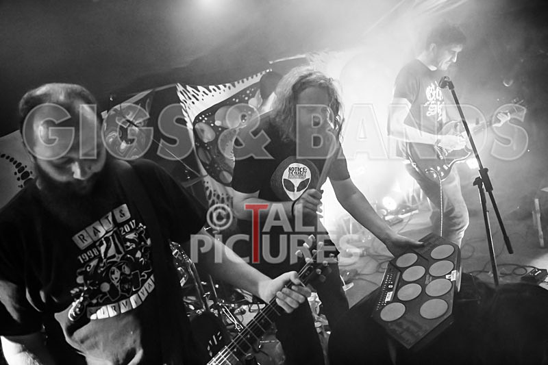 Mechanical Lobster-14 - MECHANICAL LOBSTER