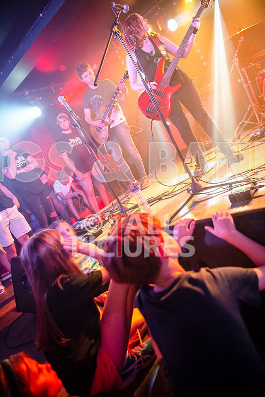 Unconventional Sponge-7 - UNCONVENTIONAL SPONGE