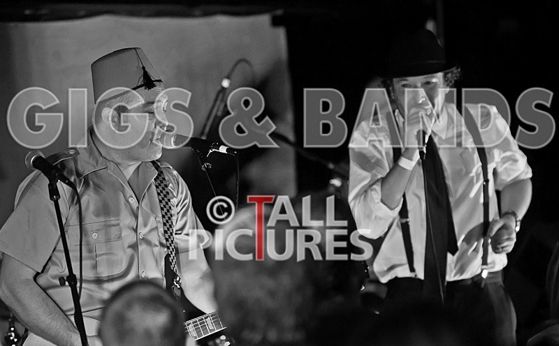 Sons of the Desert-32 - SONS OF THE DESERT